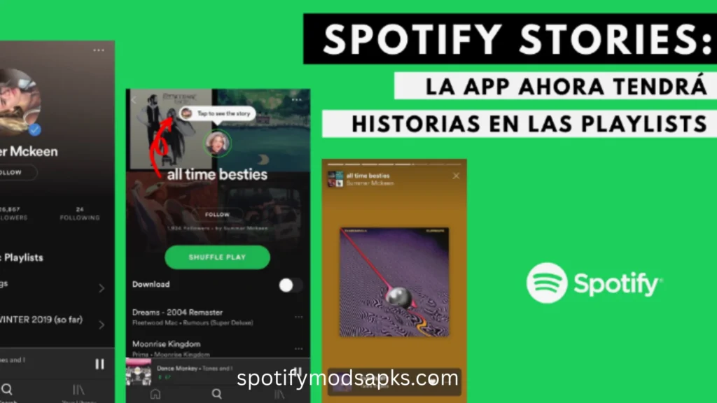 View Spotify Stories